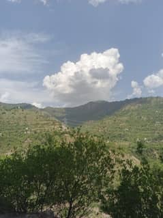hama gar ka Lia AK mlazm larki ki zorart hai