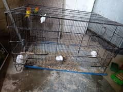 8 portion Folding Cage