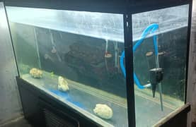 5*2*2.6 feet large aquarium  with wooden stand and hood