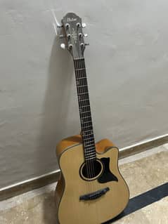 Guitar (full size)