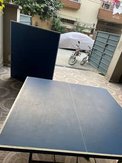 Table Tennis for Sale