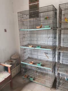8 Portion Cage