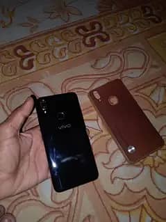 vivo.