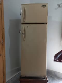 Singer Fridge