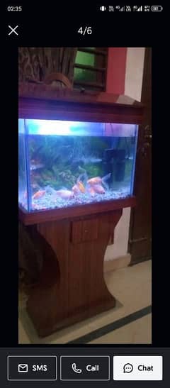Fish Aquarium 2x1 ft