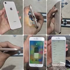 iPhone 8 pta approved
