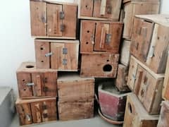 love birds breeding boxes