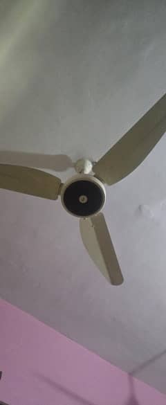 Magnum Model, Eco-Smart 30 Watt - 1 year used