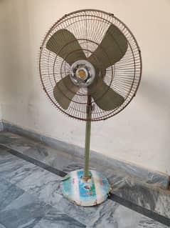 Beeta Fans