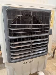 toyo