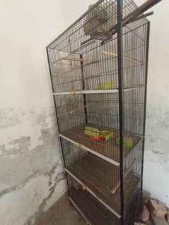 Birds Cage Pinjra