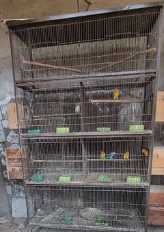 8 porsn cage