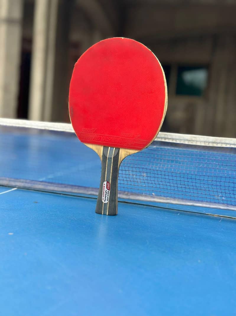 Table and Racket 13