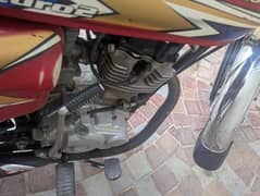 Honda 125 2020-21 model