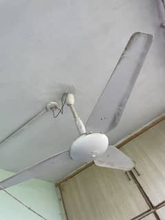 Urgent sell fan good condition