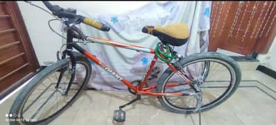 Giant escape 26inch bicycle /cycle