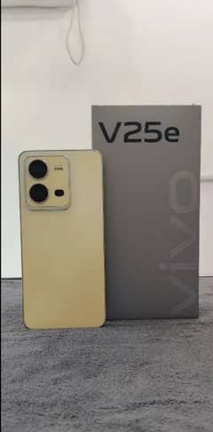 Vivo v25e