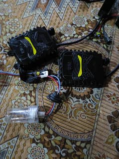 Hid
