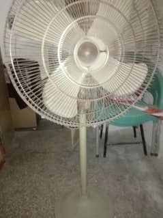 pedestal fan for sale