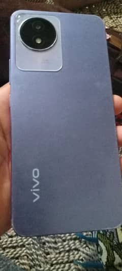 vivo y 02t