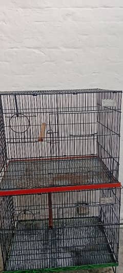 Birds Cage