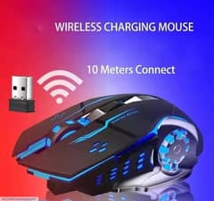 MOUSE