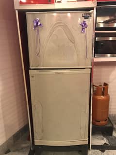 Dalwlance medium size fridge condition 10/9