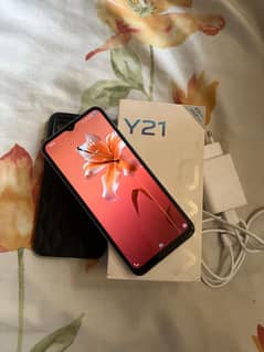 vivo