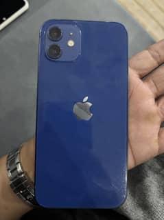iPhone 12