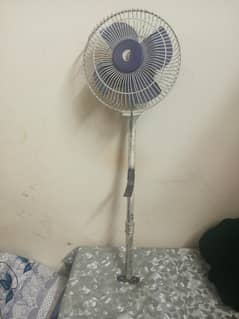 Fan