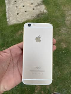 IPhone 6 Pta Approved