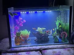Fish aquarium bowl