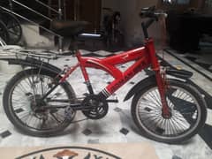 I sale my 20 inch Roman bicycle