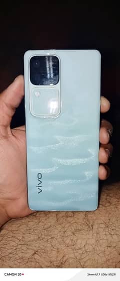 vivo