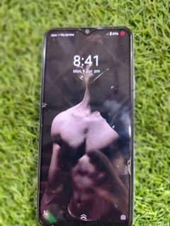 vivo