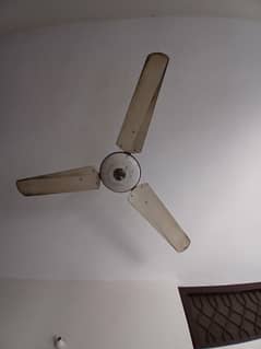Ceiling fan