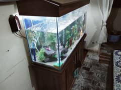 4ft