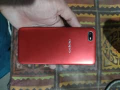 (0323 40 7 1 743) Oppo Lush Condition Full Box