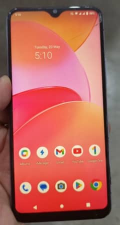 vivo