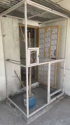 Birds Cage