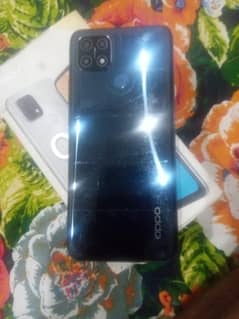 oppo