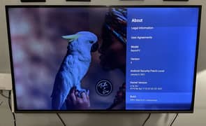 TCL Android TV