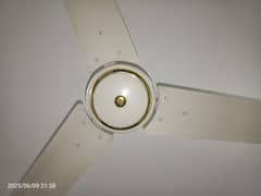 PAK Ceiling Fans (56 inch) (5 fans) (03334313870)