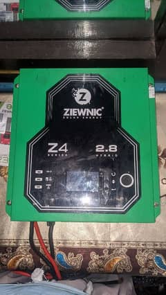ziewnic