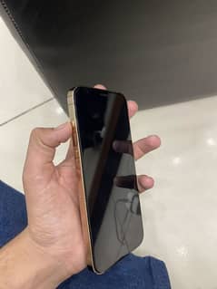 iPhone 12 Pro Max Golden colour