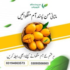 من پسند مینگو کارپوریشن