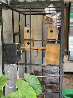 Cage for sale