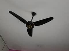 solar fan available 12w with digital remote