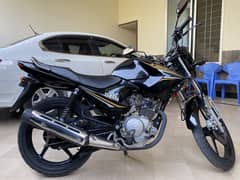 YBR 125 Best Condition