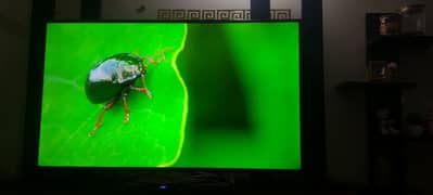 Ecostar 65 inch 4K UHD smart tv new condition